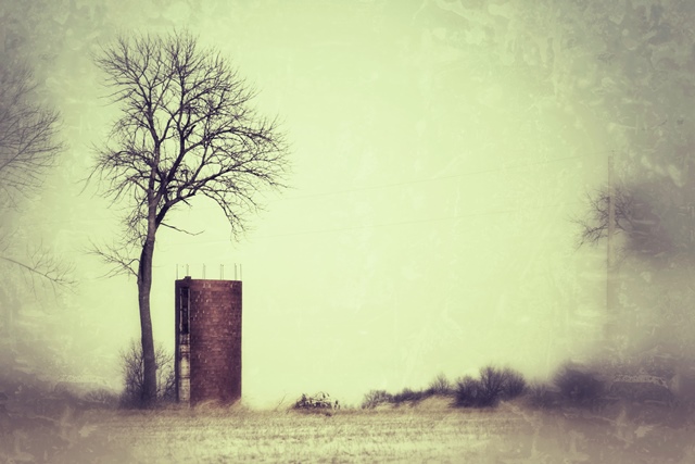 Missouri Field Small